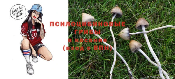 круглые Зеленокумск