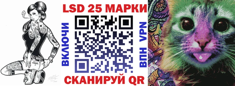 где купить наркоту  маркетплейс официальный сайт  Марки 25I-NBOMe 1500мкг  Чкаловск 