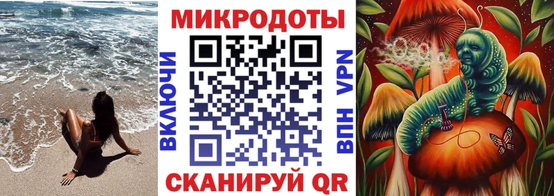 Галлюциногенные грибы Psilocybine cubensis  Чкаловск 