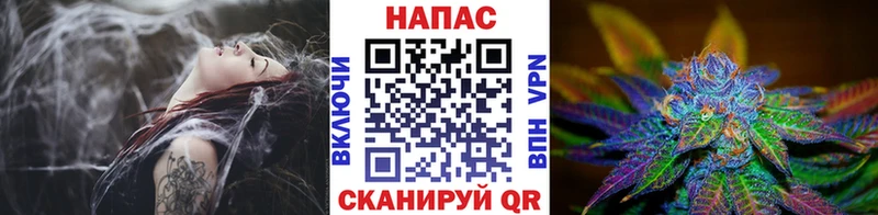 ОМГ ОМГ как войти Чкаловск МАРИХУАНА планчик